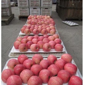 10kg packing apples