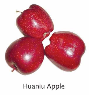 Huaniu Apple
