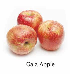 Gala Apple
