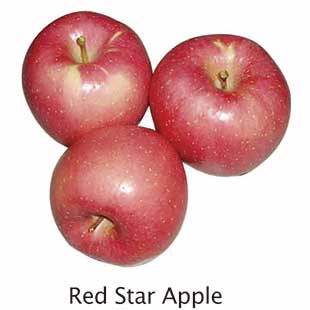 Red Star Apple